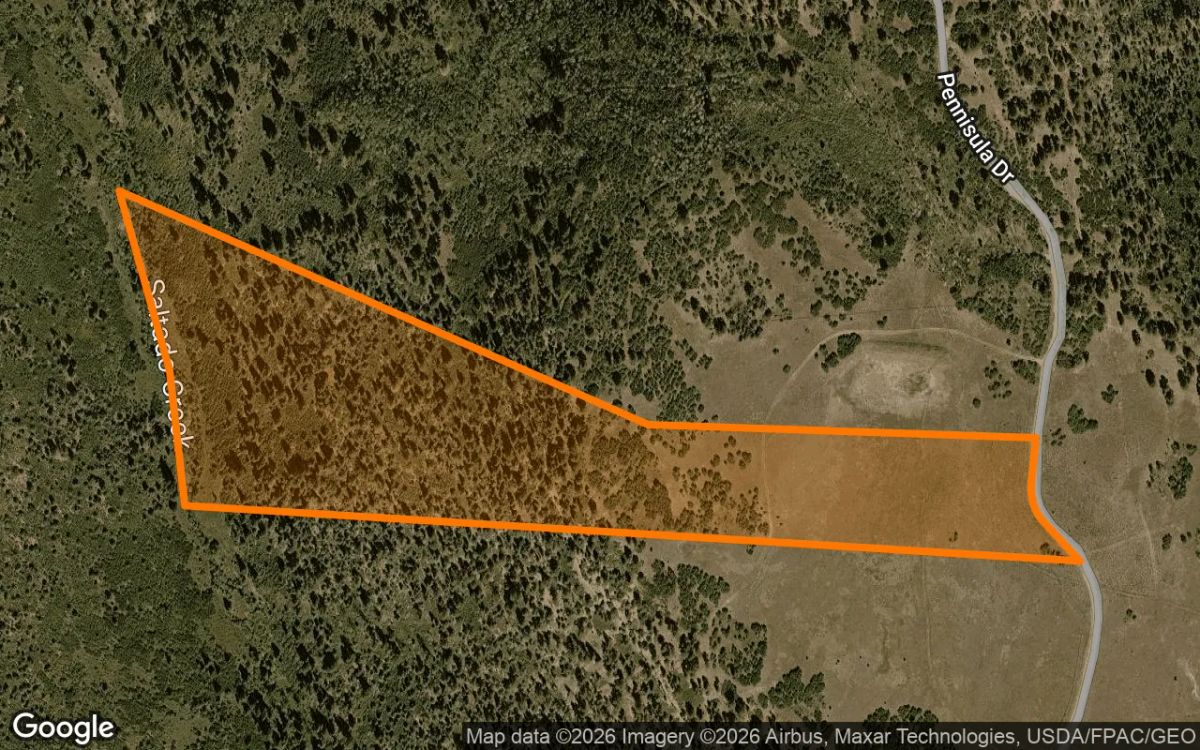 Decorative background for 35 Acres in Placerville - San Miguel County, CO image 6