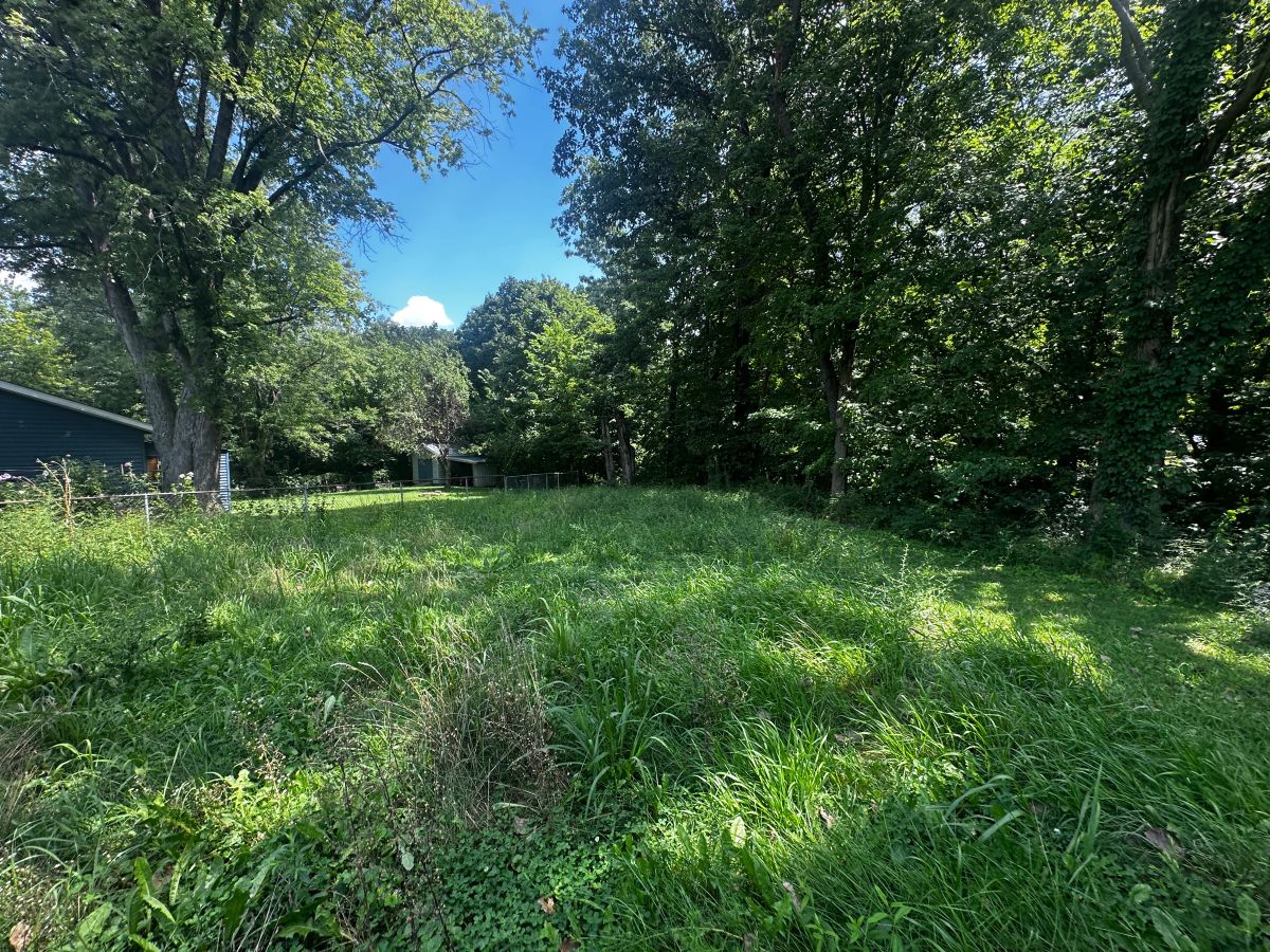 Decorative background for 0.45-acre Residential Lot in Bloomington, IL/Terreno a la venta image 6