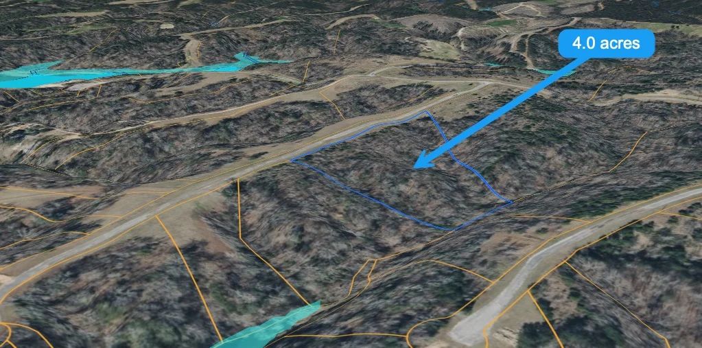 4-ACRE WOODED HOMESITE WITH SEPARATE 0.09-ACRE LAKE-ACCESS PARCEL GATED LEGACY SHORES – ALBERTA, ALABAMA - Image 3