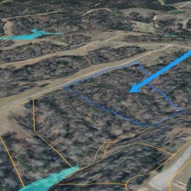 4-ACRE WOODED HOMESITE WITH SEPARATE 0.09-ACRE LAKE-ACCESS PARCEL GATED LEGACY SHORES – ALBERTA, ALABAMA in Wilcox County, AL