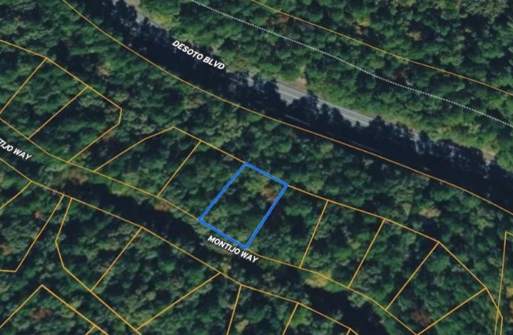 MONTIJO WAY, HOT SPRINGS VILLAGE, AR 71909 - Image 2