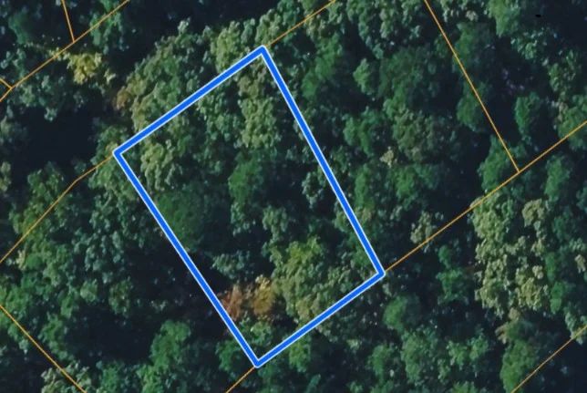 MONTIJO WAY, HOT SPRINGS VILLAGE, AR 71909 - Image 4