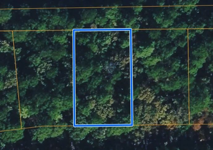 AFRENTA WAY, HOT SPRINGS VILLAGE, AR 71909 - Image 4