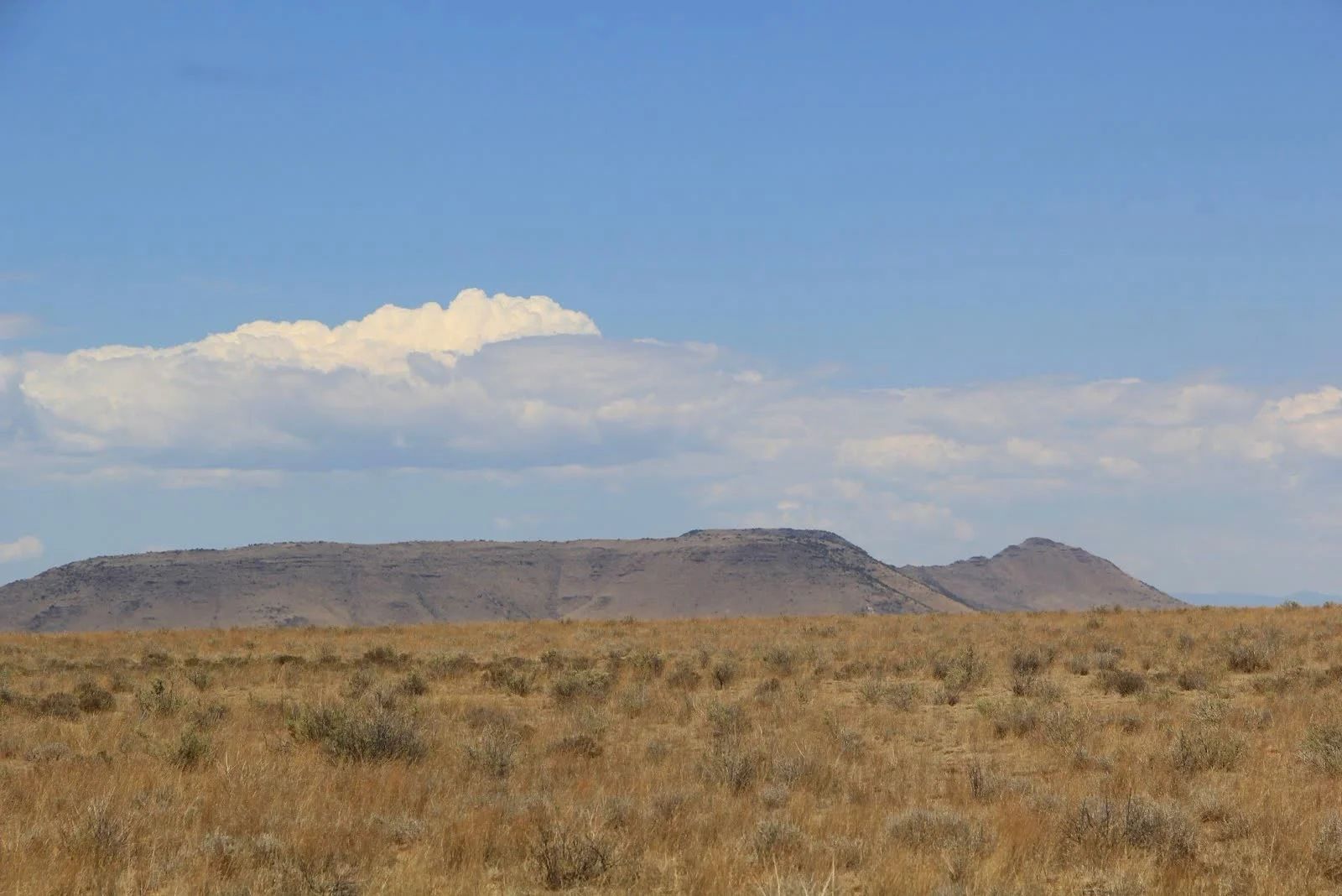5 Acres Near San Luis, Costilla County, CO — Owner Financing