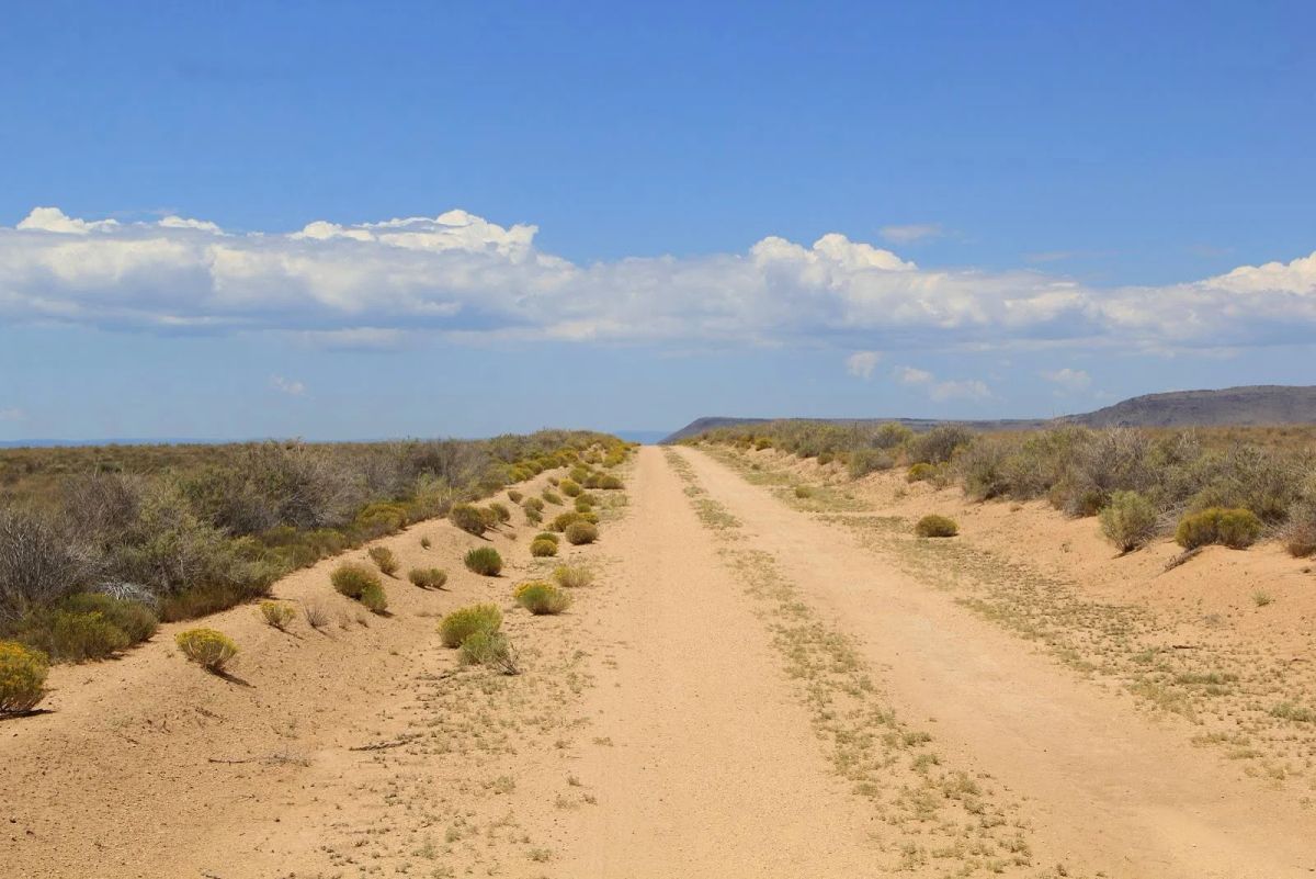 5 Acres Near San Luis, Costilla County, CO — Owner Financing - Image 2