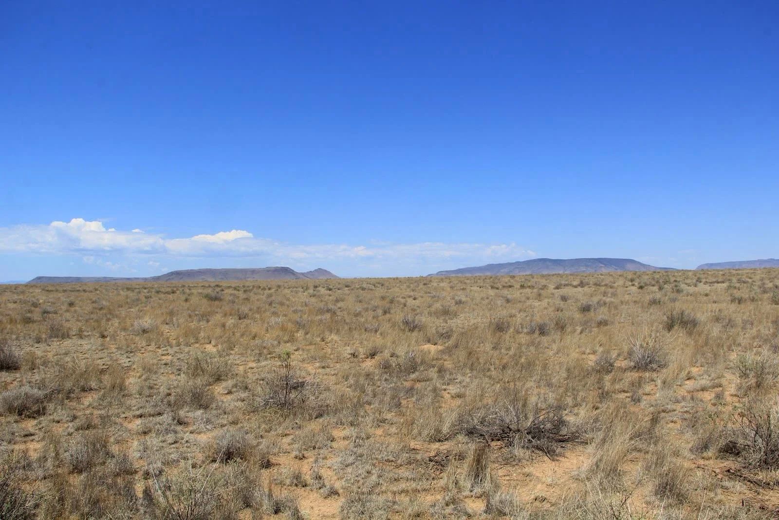 5 Acres Near San Luis, Costilla County, CO — Owner Financing in Costilla County, CO