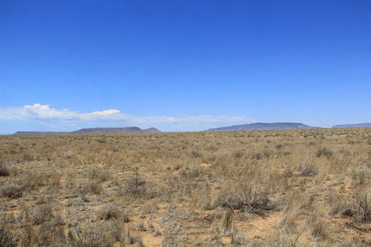 5 Acres Near San Luis, Costilla County, CO — Owner Financing - Image 3