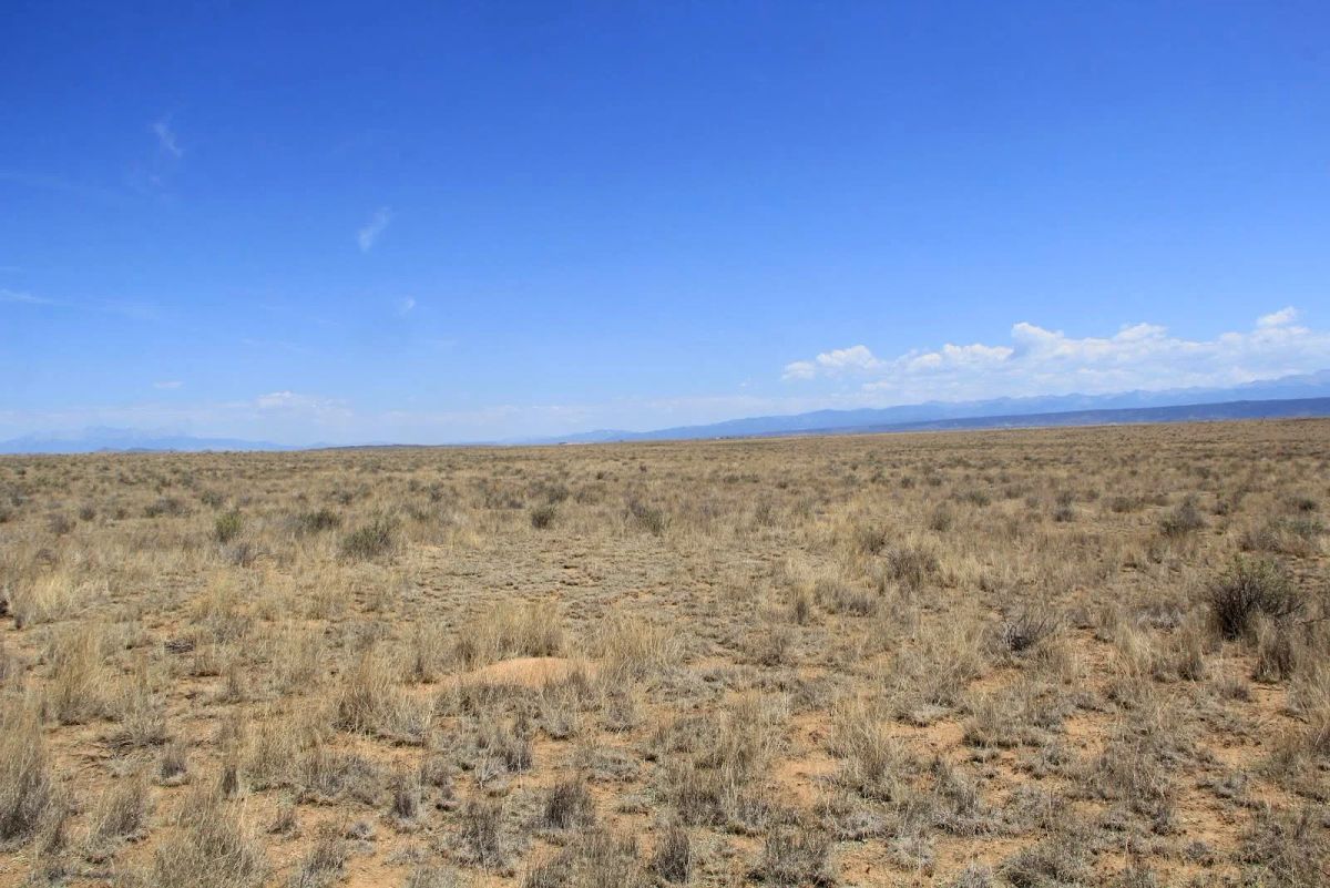 5 Acres Near San Luis, Costilla County, CO — Owner Financing - Image 4