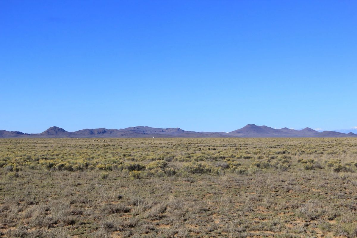 5.15 Acres Near San Luis, Costilla County, CO — Owner Financing - Image 4