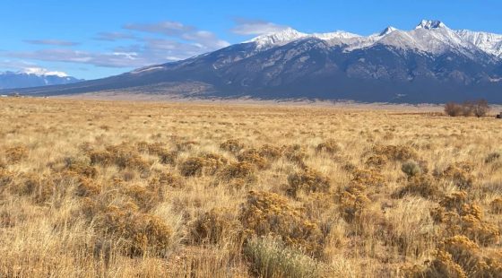 4.96 Acres Near Blanca, Costilla County, CO — Owner Financing in Costilla County, CO