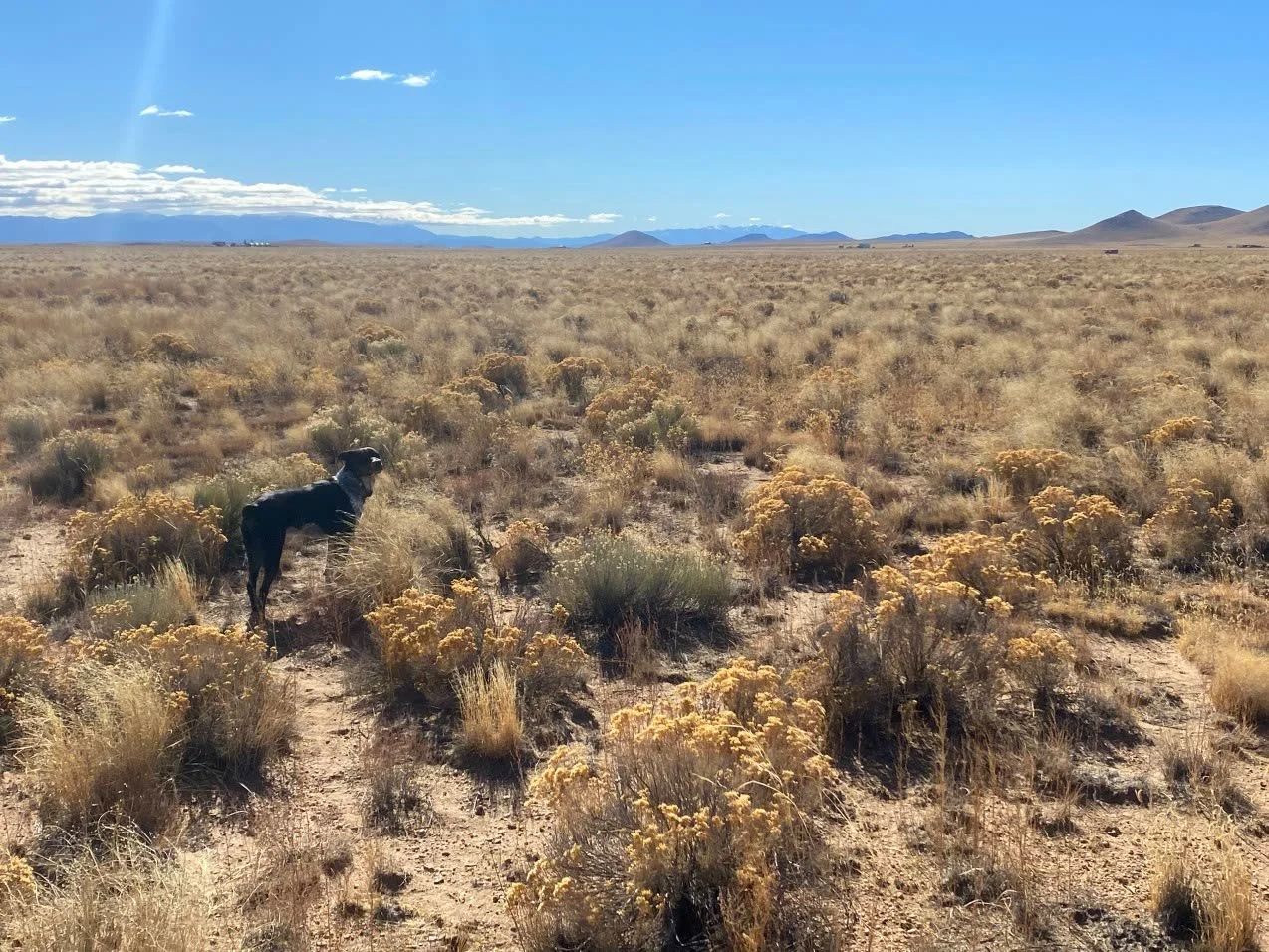 4.96 Acres Near Blanca, Costilla County, CO — Owner Financing in Costilla County, CO