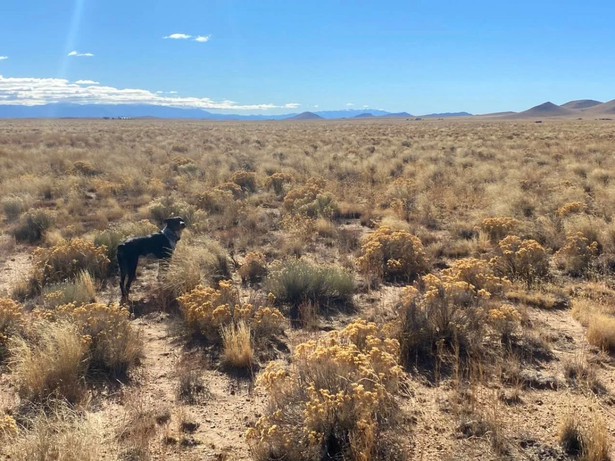 4.96 Acres Near Blanca, Costilla County, CO — Owner Financing - Image 3