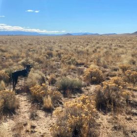 4.96 Acres Near Blanca, Costilla County, CO — Owner Financing in Costilla County, CO