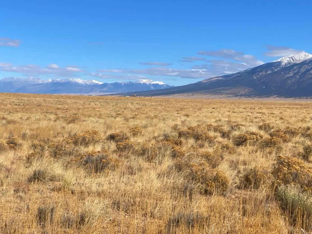 4.96 Acres Near Blanca, Costilla County, CO — Owner Financing - Image 4