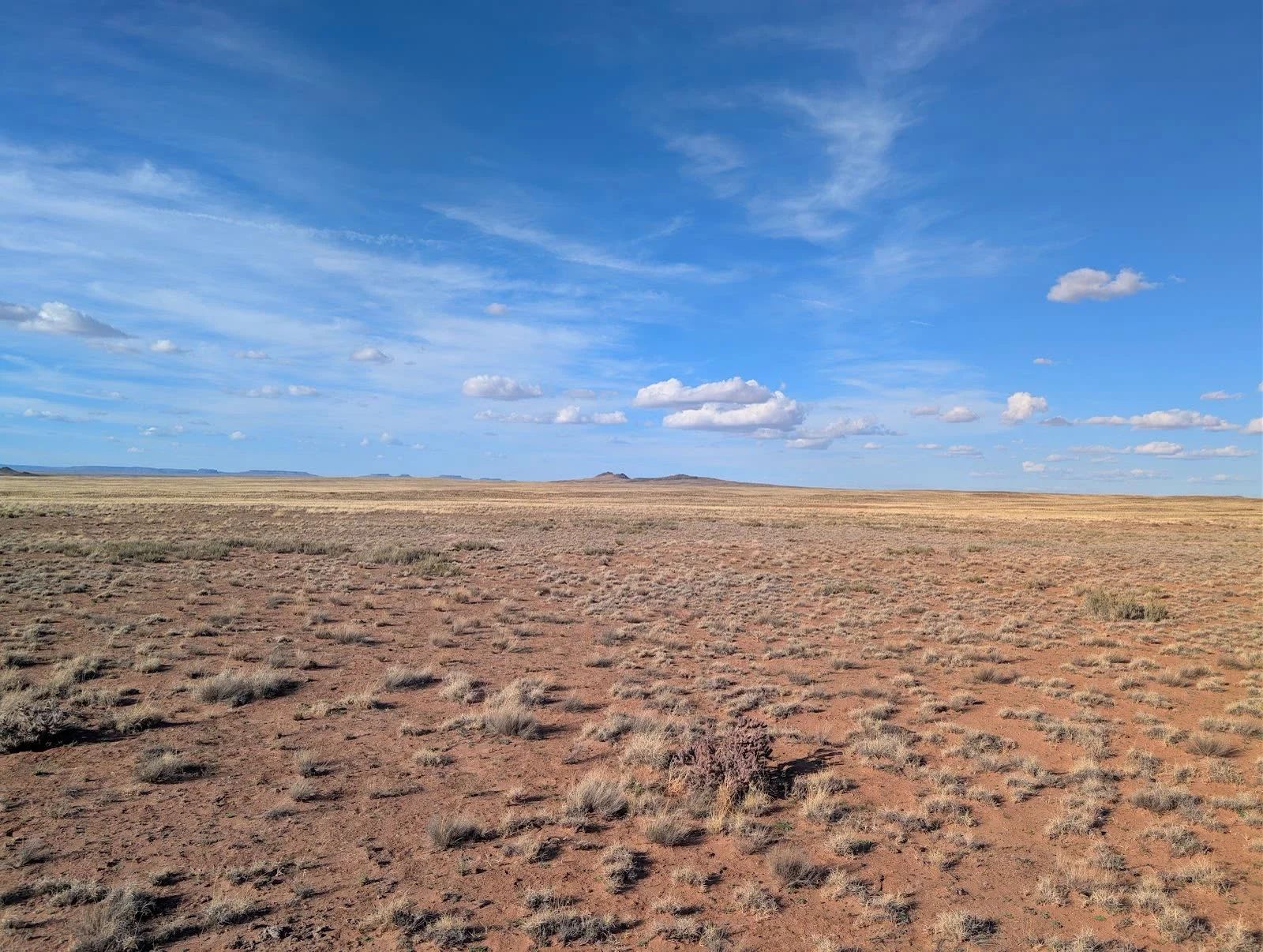 1.25 Acres Near Holbrook, Navajo County, AZ — Owner Financing in Navajo County, AZ