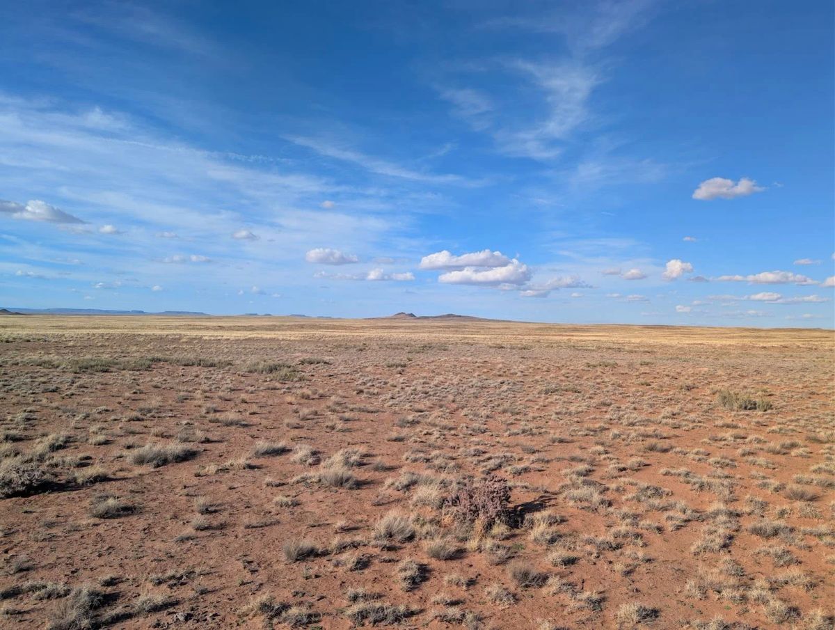 1.25 Acres Near Holbrook, Navajo County, AZ — Owner Financing - Image 3