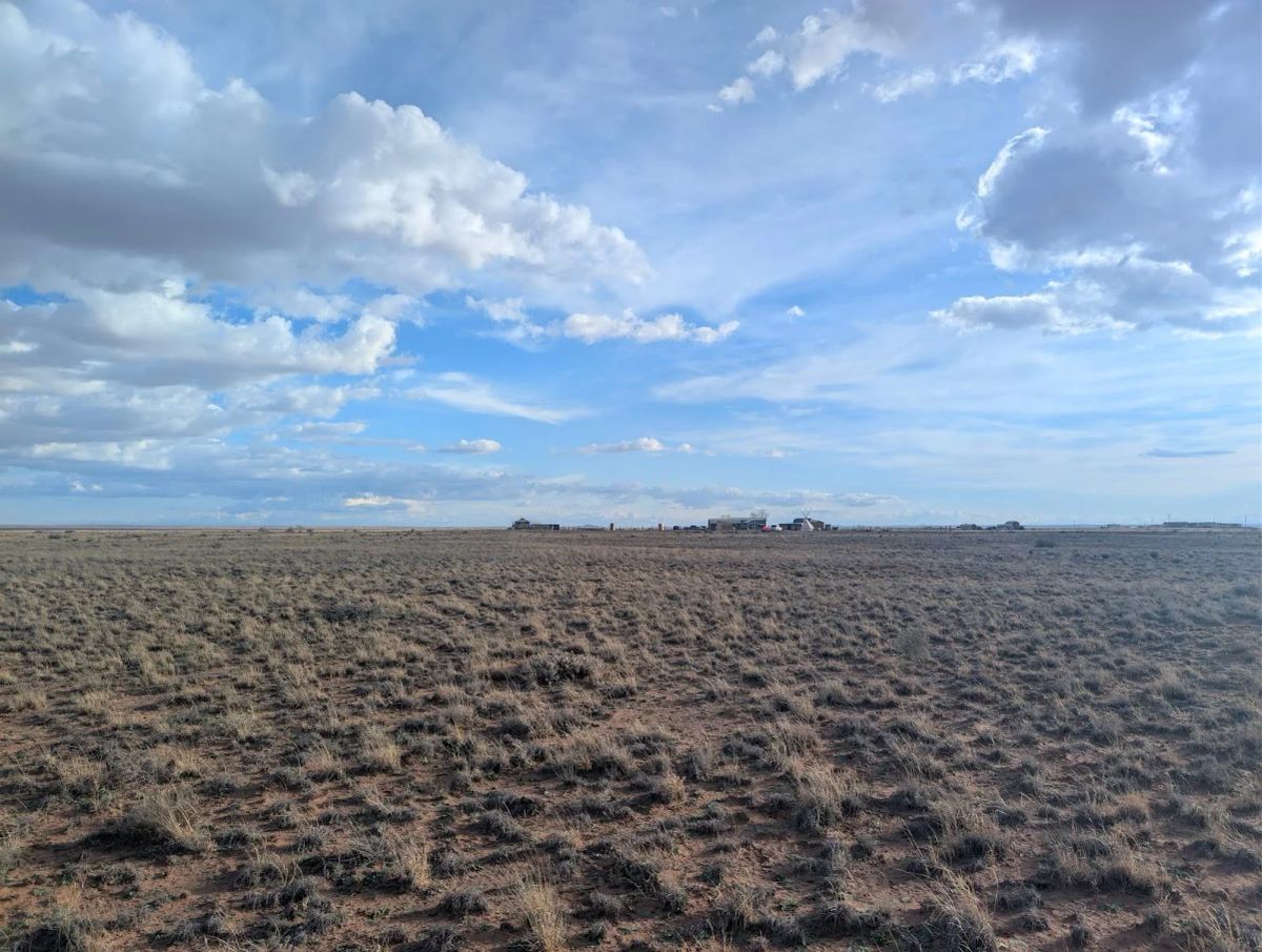 1.25 Acres Near Holbrook, Navajo County, AZ — Owner Financing - Image 4