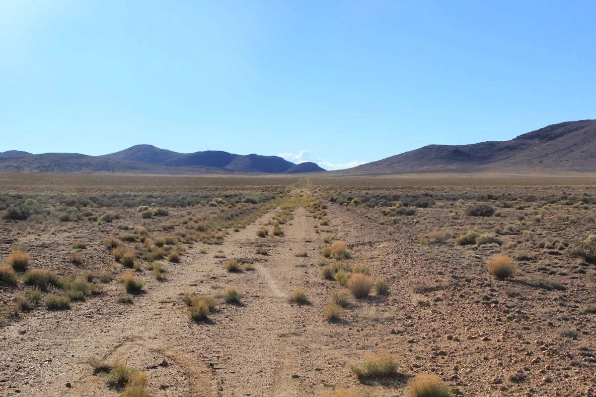 5 Acres Near San Acacio, Costilla County, CO — Owner Financing - Image 4