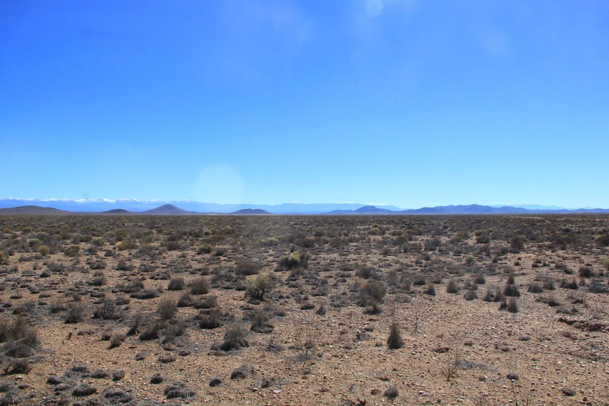 Decorative background for 4.85 Acres Near Blanca, Costilla County, CO — Owner Financing image 5