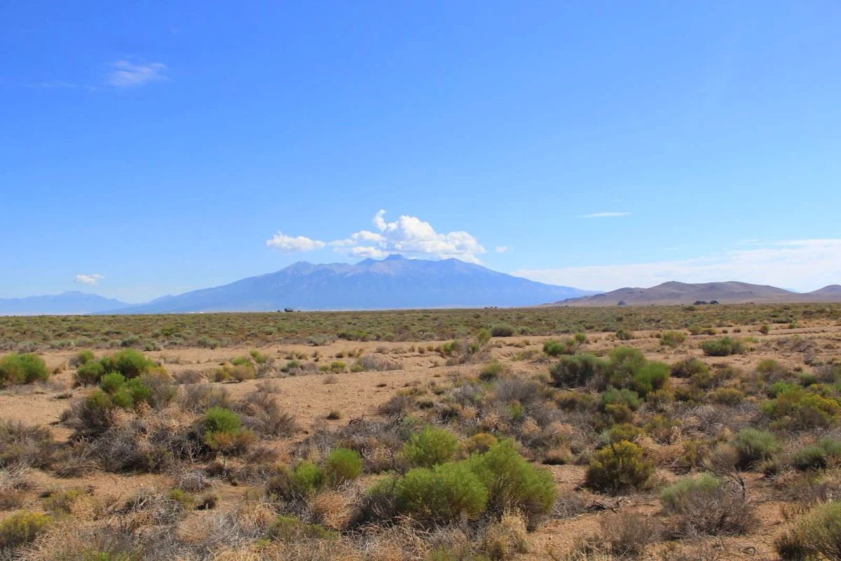 5.51 Acres Near Blanca, Costilla County, CO — Owner Financing - Image 3