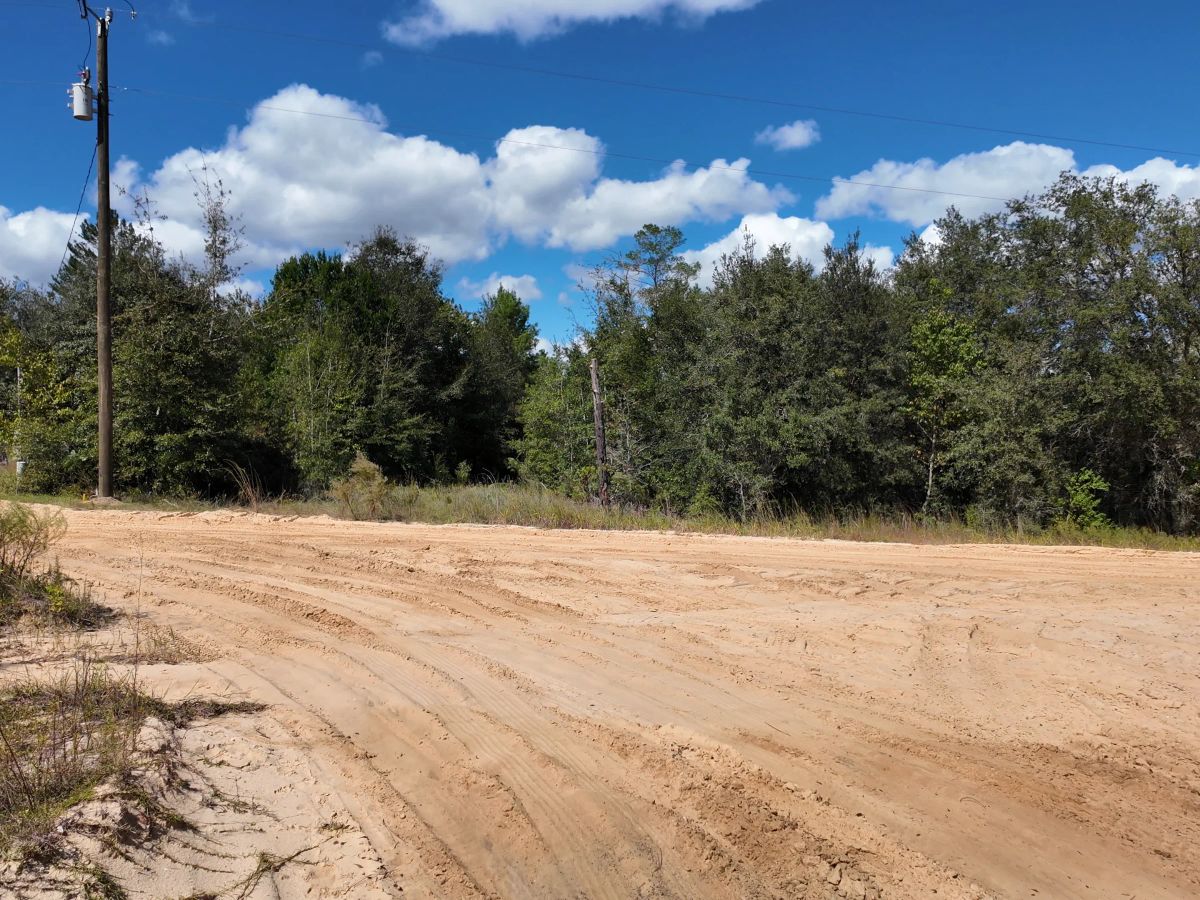 Decorative background for Your Florida Land for Less Than a Car Payment? 0.29 Acres for $249/Mo image 7