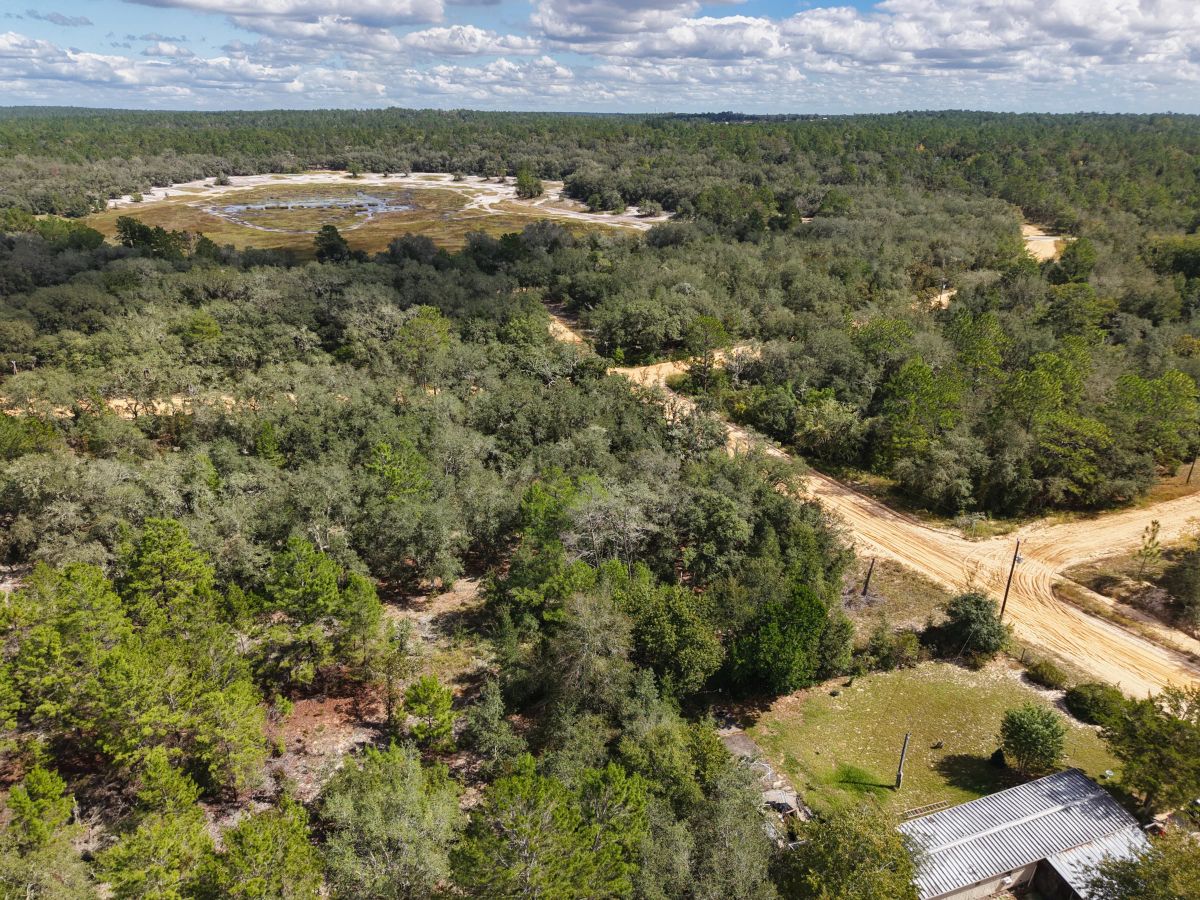 Decorative background for Your Florida Land for Less Than a Car Payment? 0.29 Acres for $249/Mo image 13