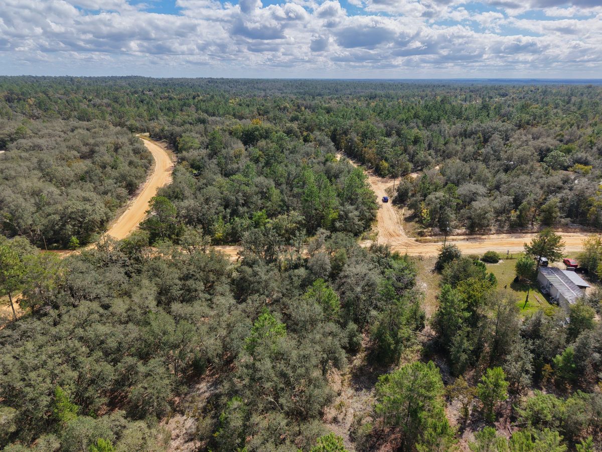 Decorative background for Your Florida Land for Less Than a Car Payment? 0.29 Acres for $249/Mo image 15