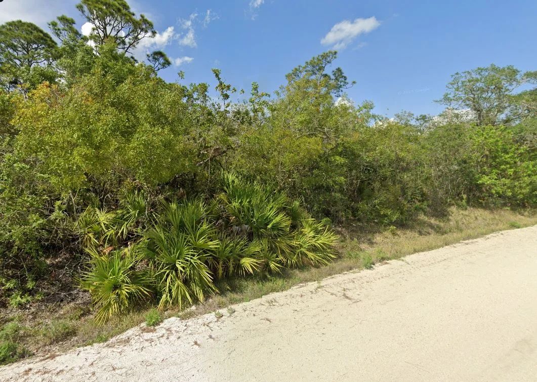Decorative background for Your Version of Florida Freedom Starts with 0.22 Acres for Just $349/Mo! image 12