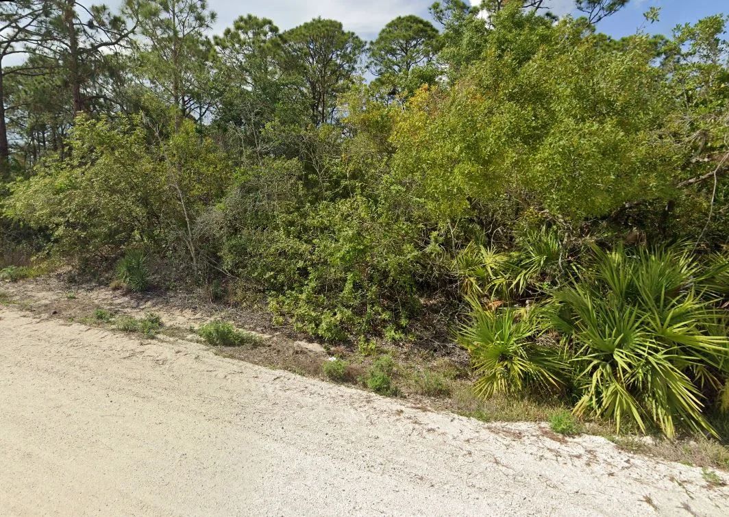 Decorative background for Your Version of Florida Freedom Starts with 0.22 Acres for Just $349/Mo! image 18