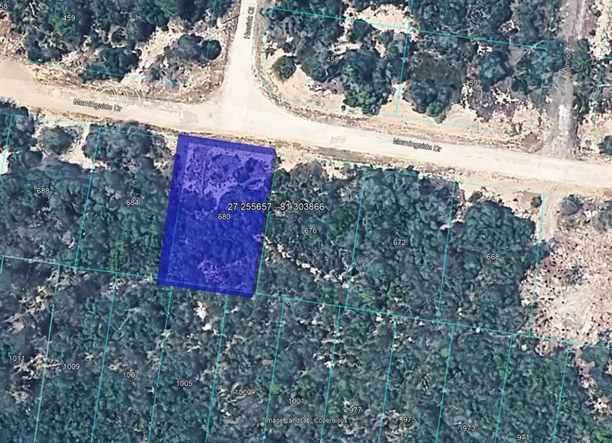 Decorative background for Secure Your Family’s Future on 0.23 Acres in Lake Placid, FL – $349/Mo image 13
