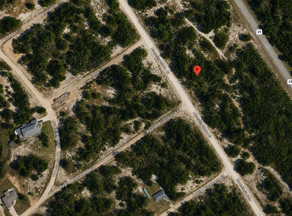 0.23 Acres of Buildable Florida Land for $349/Mo, No Income Verification! - Image 2