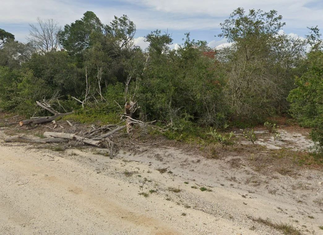 Decorative background for 0.23 Acres of Buildable Florida Land for $349/Mo, No Income Verification! image 10