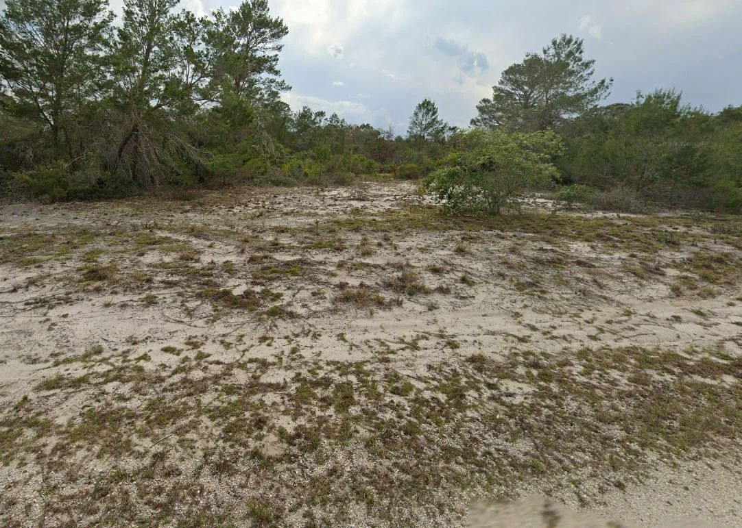 Decorative background for 0.23 Acres of Buildable Florida Land for $349/Mo, No Income Verification! image 14