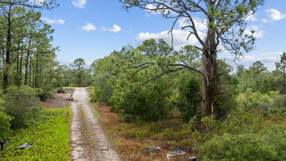 Invest in Long-Term Family Ownership with This 0.23 Acre Florida Lot for $349/Mo! - Image 2