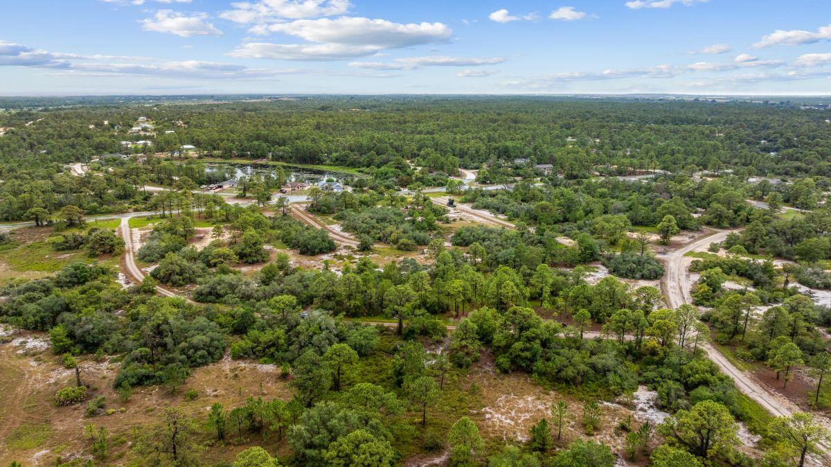 Decorative background for Invest in Long-Term Family Ownership with This 0.23 Acre Florida Lot for $349/Mo! image 5