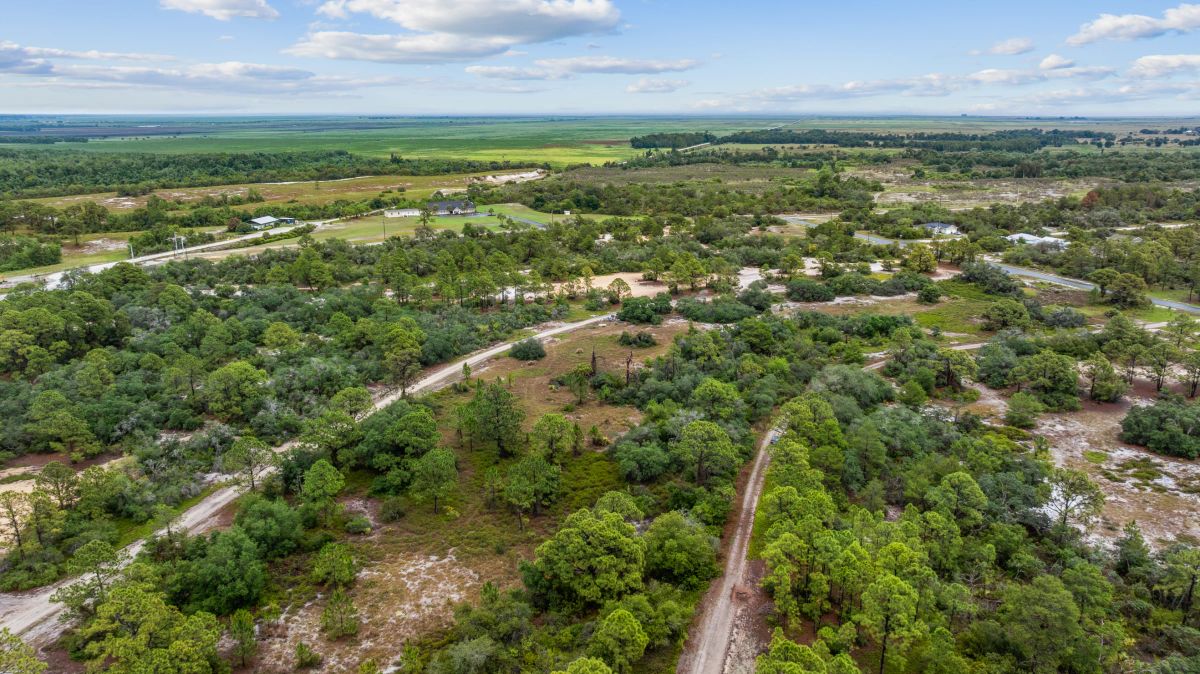 Decorative background for Invest in Long-Term Family Ownership with This 0.23 Acre Florida Lot for $349/Mo! image 7