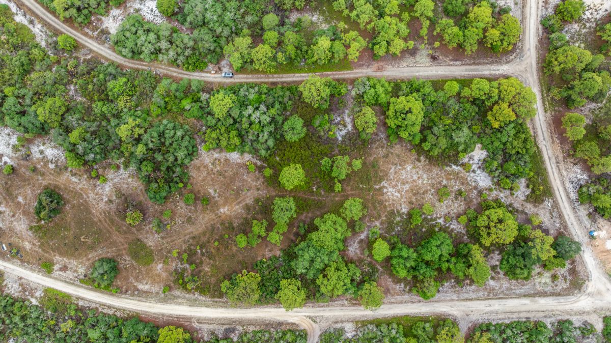 Decorative background for Invest in Long-Term Family Ownership with This 0.23 Acre Florida Lot for $349/Mo! image 9