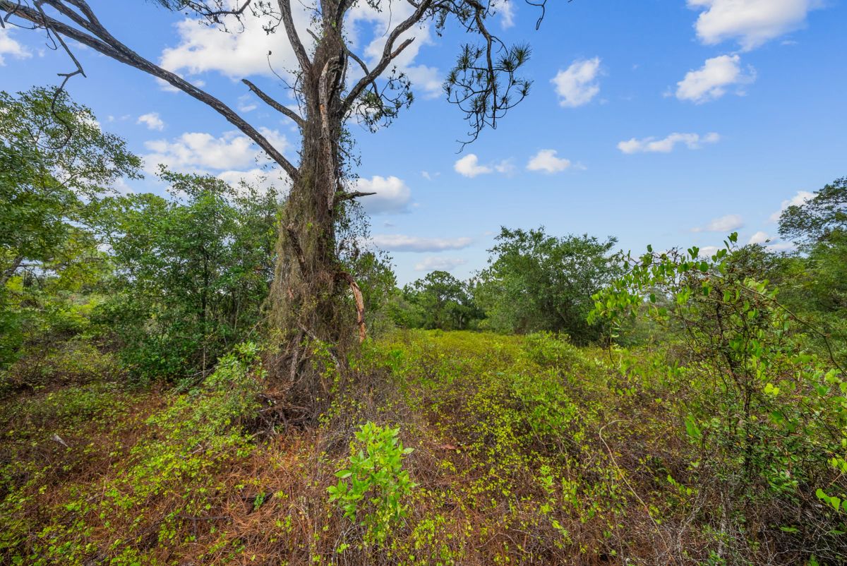 Decorative background for Invest in Long-Term Family Ownership with This 0.23 Acre Florida Lot for $349/Mo! image 13