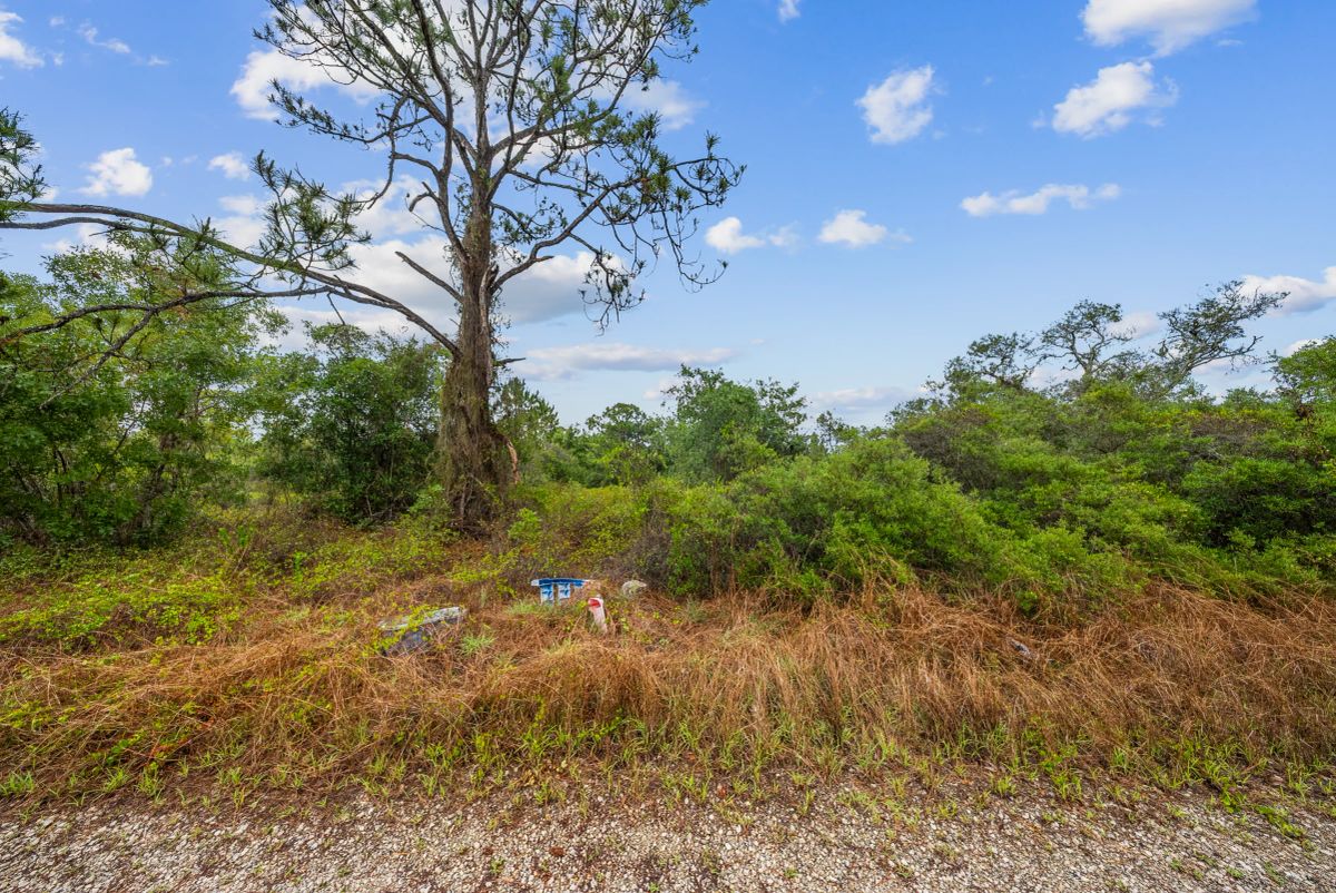 Decorative background for Invest in Long-Term Family Ownership with This 0.23 Acre Florida Lot for $349/Mo! image 18