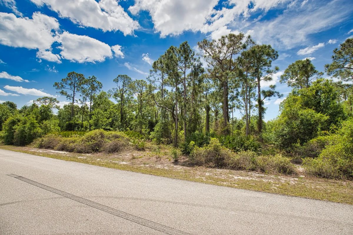 Decorative background for Two Lots, One Dream — Build on Pasadena Drive in Punta Gorda image 10