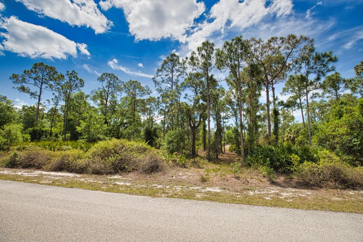 Decorative background for Two Lots, One Dream — Build on Pasadena Drive in Punta Gorda image 11