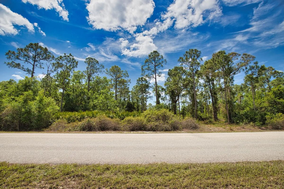 Decorative background for Two Lots, One Dream — Build on Pasadena Drive in Punta Gorda image 12