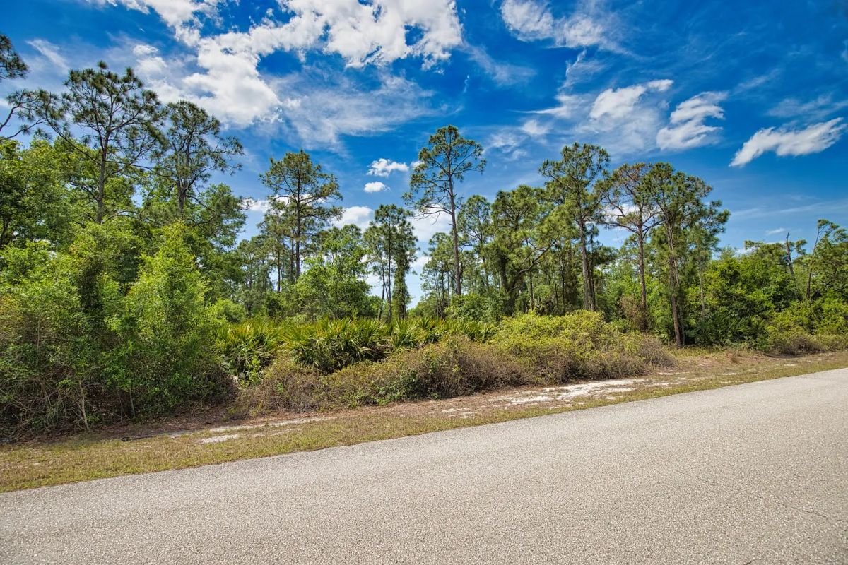 Decorative background for Two Lots, One Dream — Build on Pasadena Drive in Punta Gorda image 14