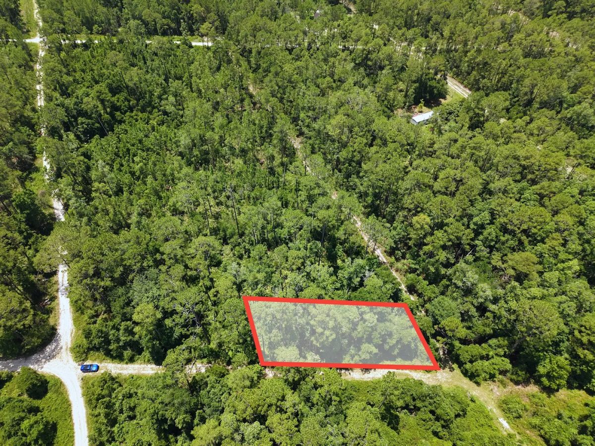 Off the Beaten Path in Satsuma, FL - Main image