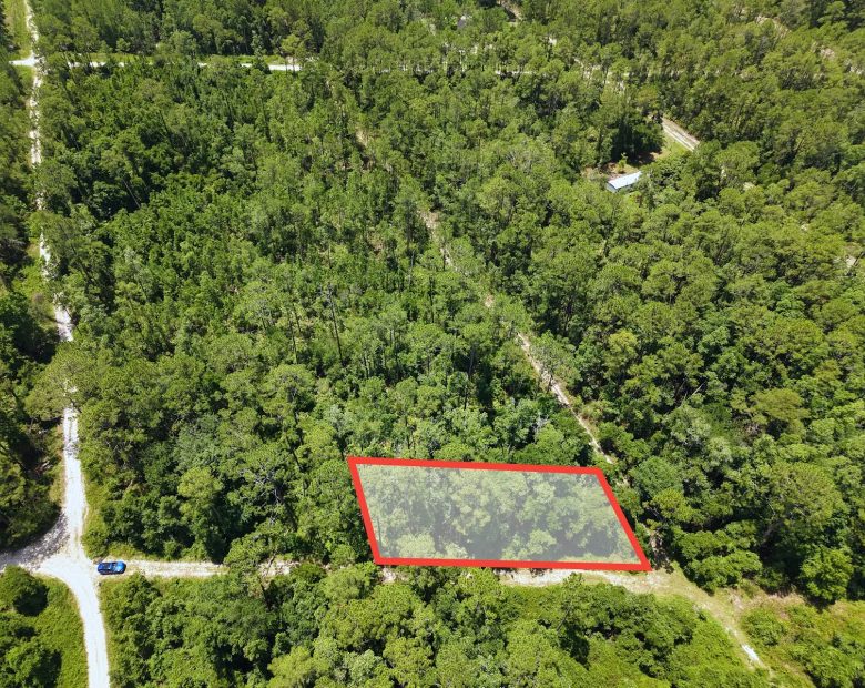 Off the Beaten Path in Satsuma, FL in Putnam County, FL
