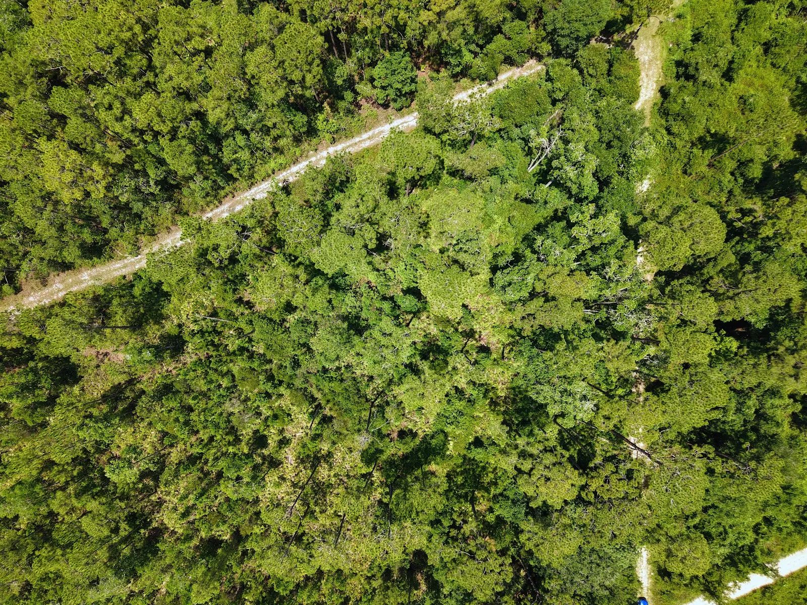 Off the Beaten Path in Satsuma, FL in Putnam County, FL