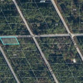 Off the Beaten Path in Satsuma, FL in Putnam County, FL