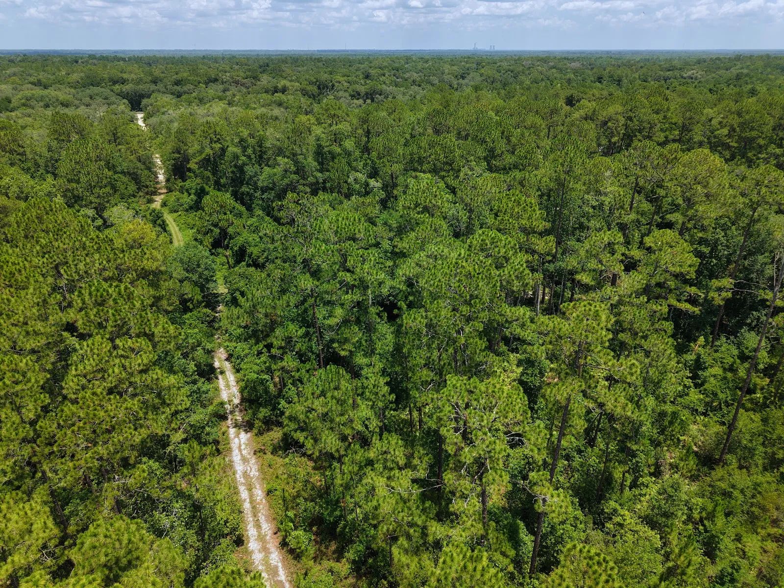 Off the Beaten Path in Satsuma, FL in Putnam County, FL
