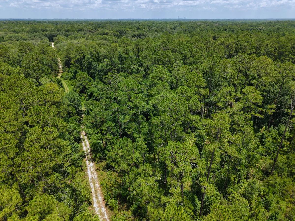 Off the Beaten Path in Satsuma, FL - Image 4