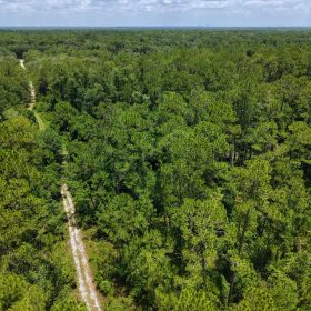 Off the Beaten Path in Satsuma, FL in Putnam County, FL